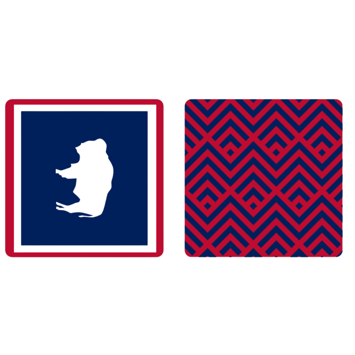 Out West | Waffle Weave Microfiber Towels Kitchen & Bath (SHIPPING MAY 30th)