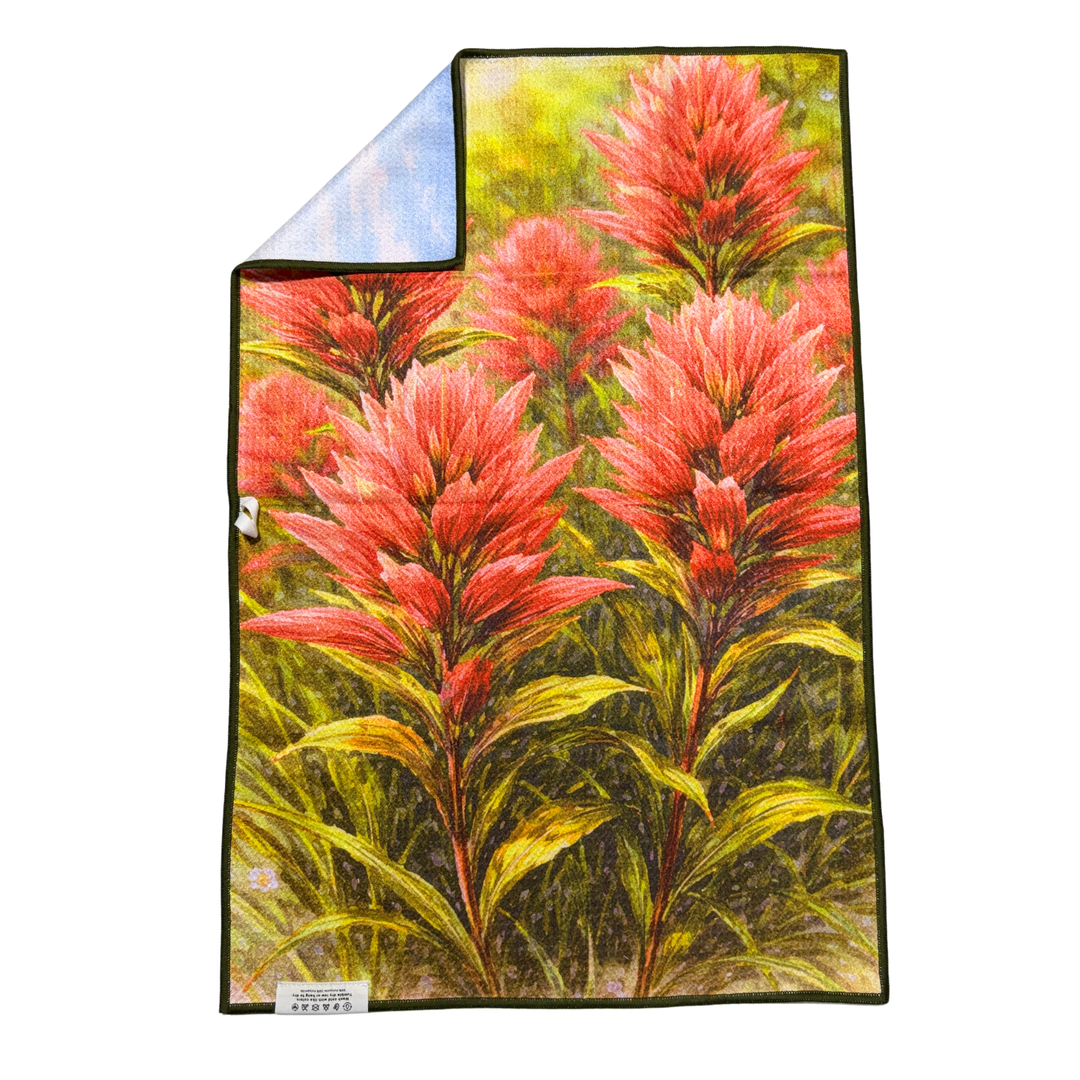 Swiftcurrent Paintbrush | Waffle Weave Microfiber Towels Kitchen & Bath