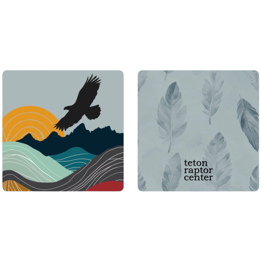 Teton Blue | Waffle Weave Microfiber Towels Kitchen & Bath
