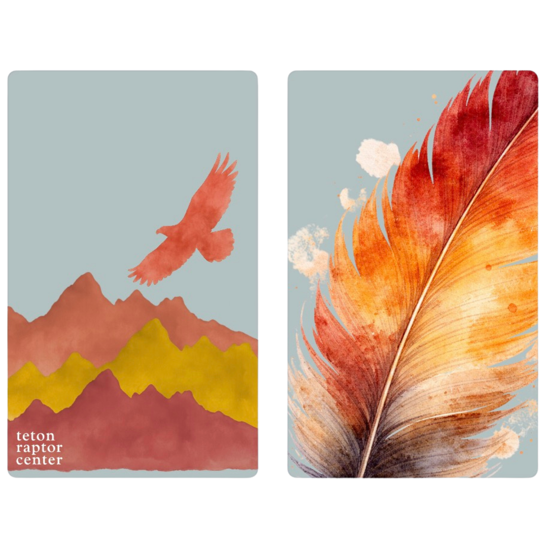 Teton Coral | Waffle Weave Microfiber Towels Kitchen & Bath