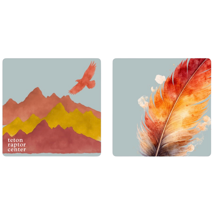 Teton Coral | Waffle Weave Microfiber Towels Kitchen & Bath